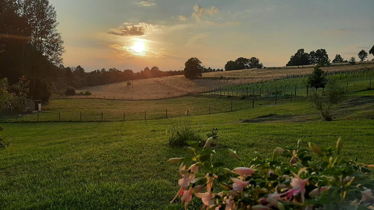 Agroturystyka Kruk Mirsk Extérieur photo